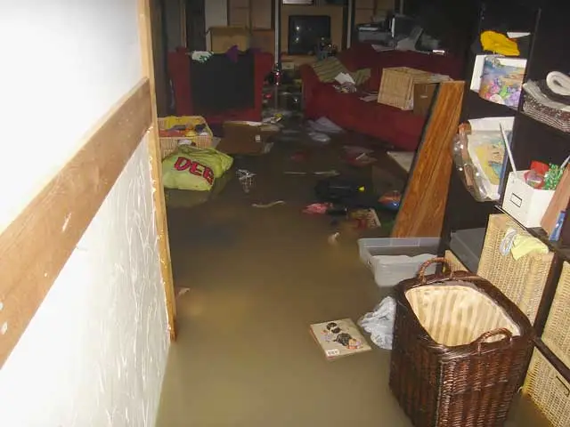 Flooded Basement Repair